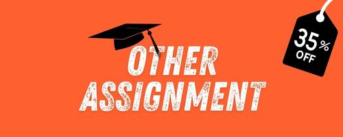 Other Assignment